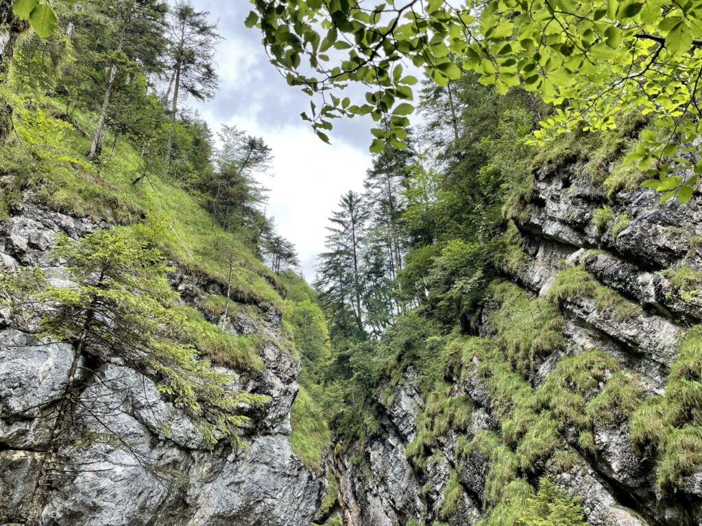 Sommerausflug Tiefenbachklamm 2021